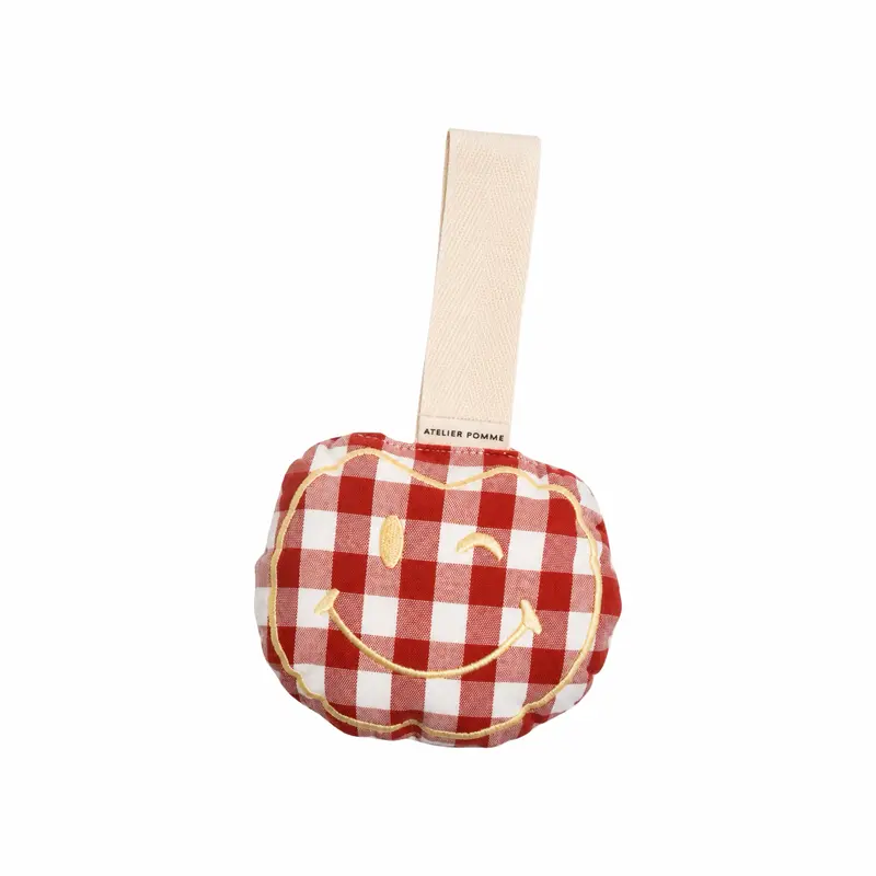 Apple of my Eye Pacifier Cuddle Brique Check