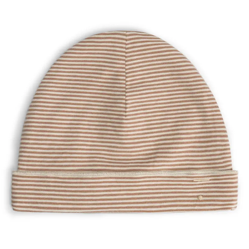 Beanie Biscuit Cream