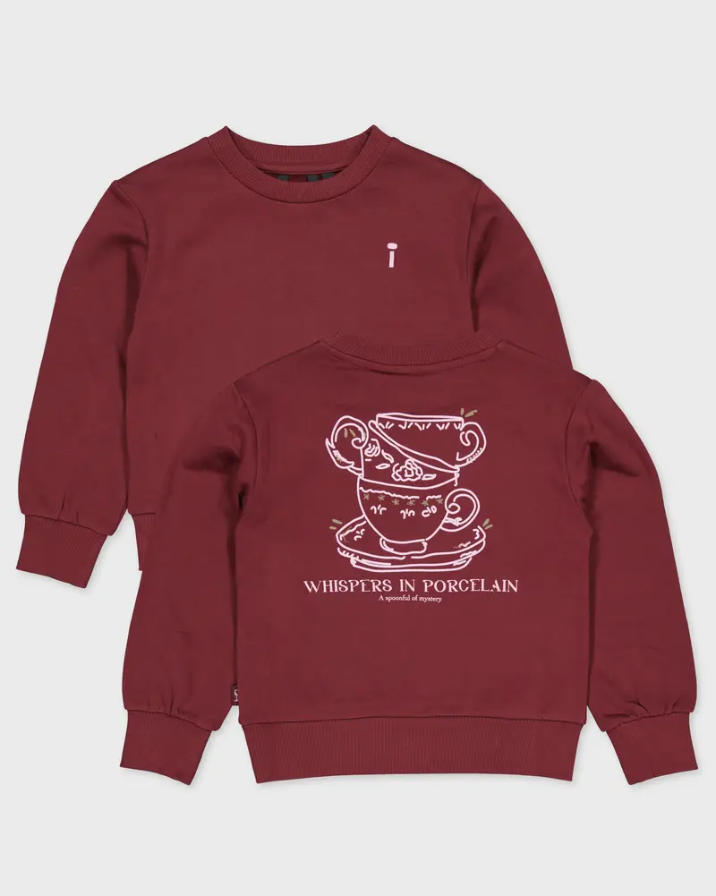 Bordeauxrode sweater met beerprint | Burgundy
