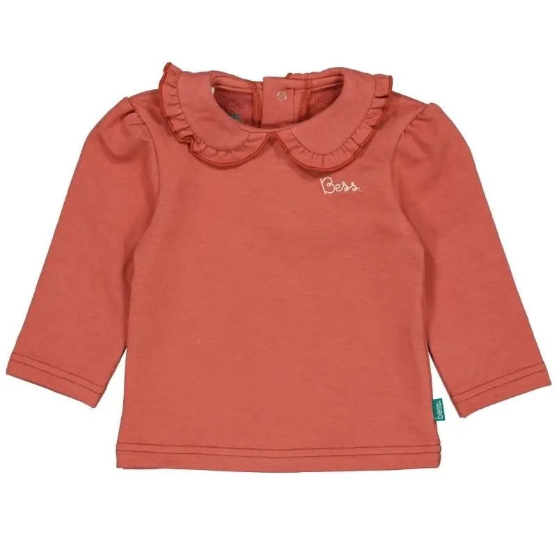 Cedar Wood shirt Collar 261036
