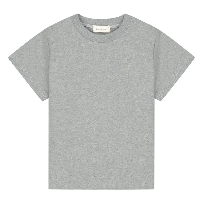 Charlie Petite | Luc T-shirt | Grey Melange