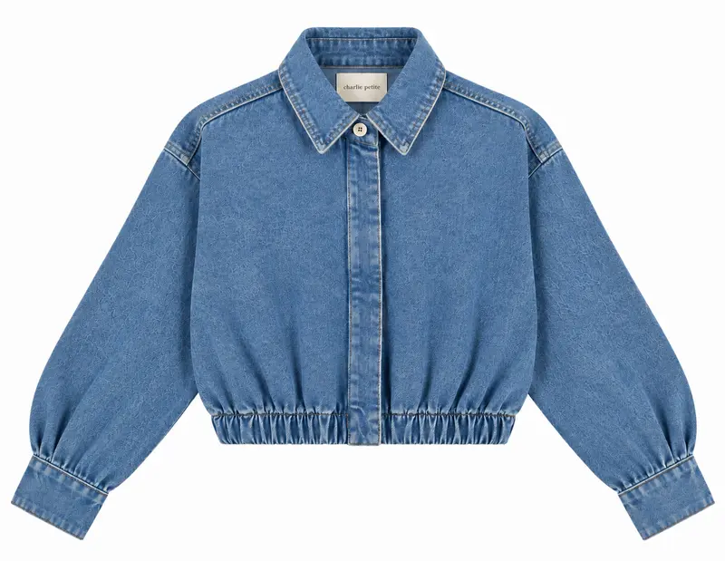 Charlie Petite | Odile Blouse | Pale Blue