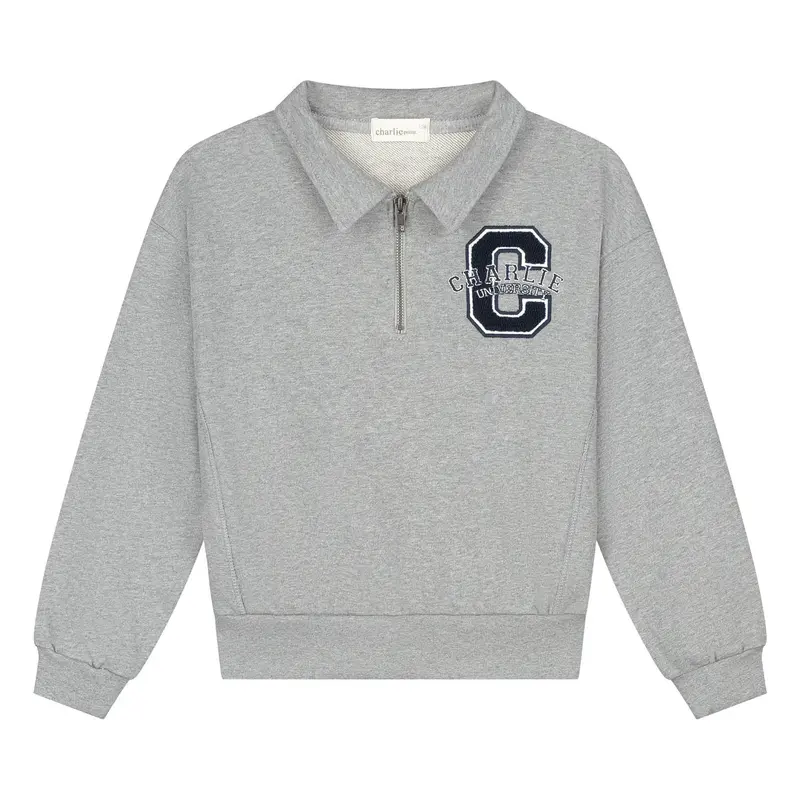 Charlie Petite | Parker Sweater | Grey Melange