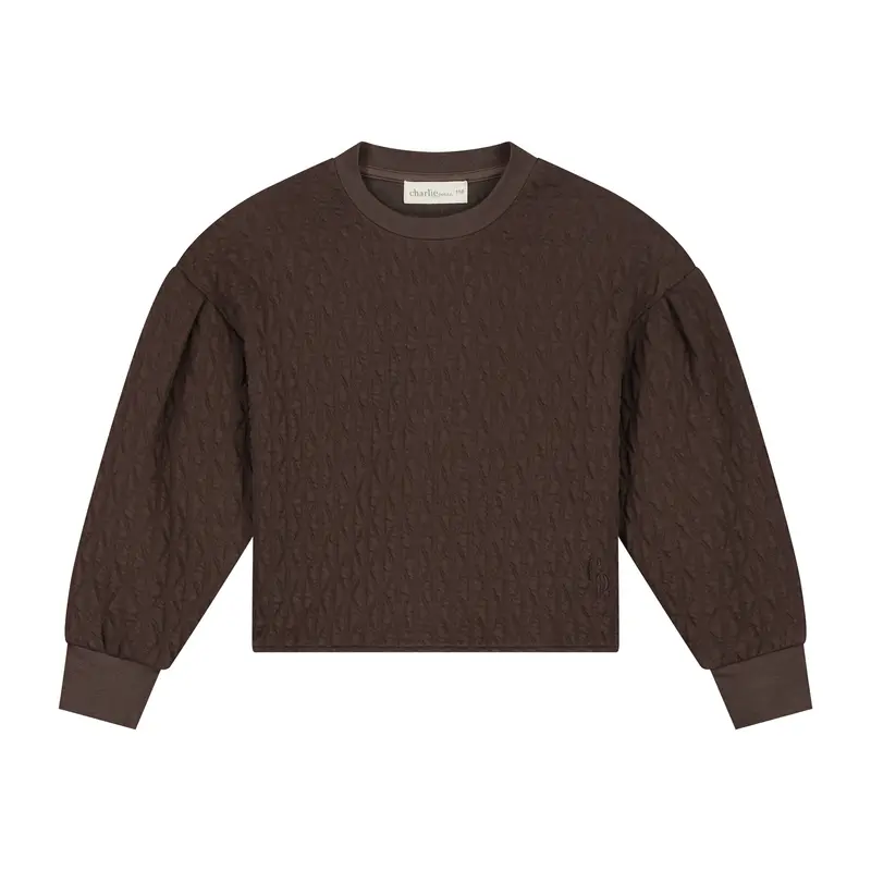 Charlie Petite | Sien Sweater | Dark Brown