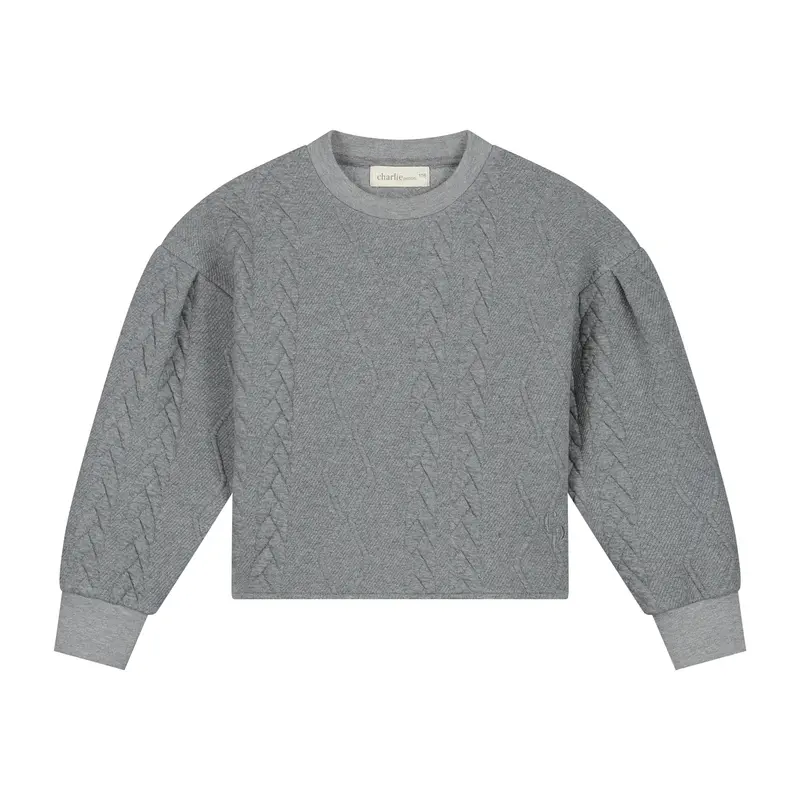 Charlie Petite | Sien Sweater | Grey Melange