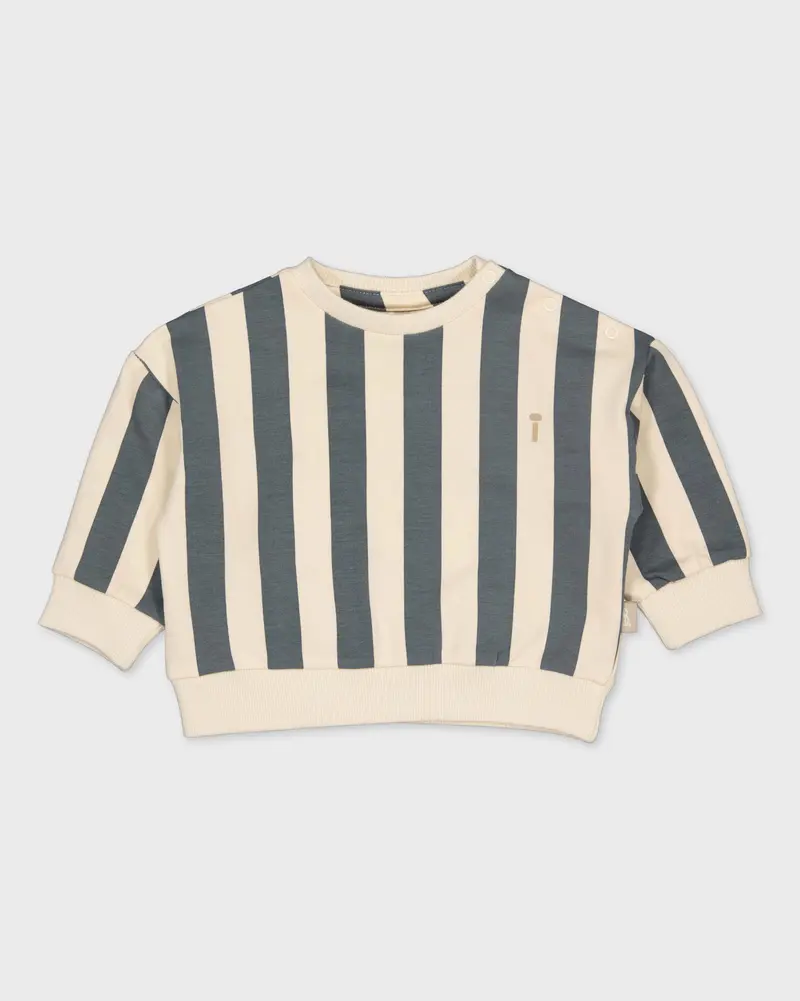 Crèmekleurige sweater met strepen | AOP Blue Stripe