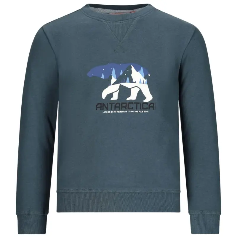 Donkergrijs geprinte sweater Sem