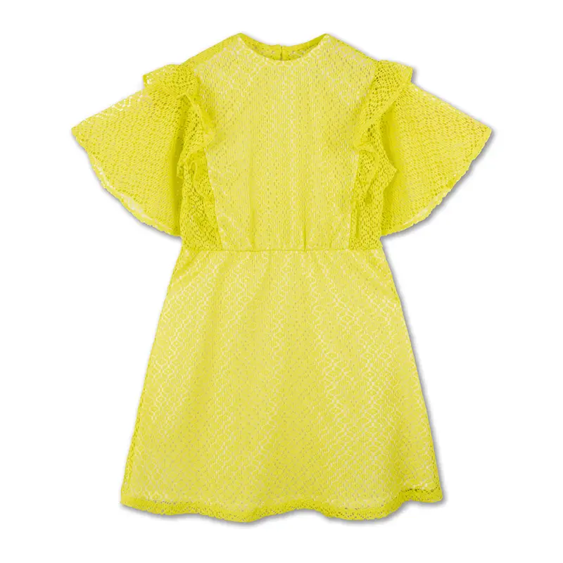 Dress Ruffle Significant Lace
