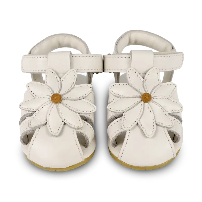 Duni Fields Sandals | Daisy | Off White Leather
