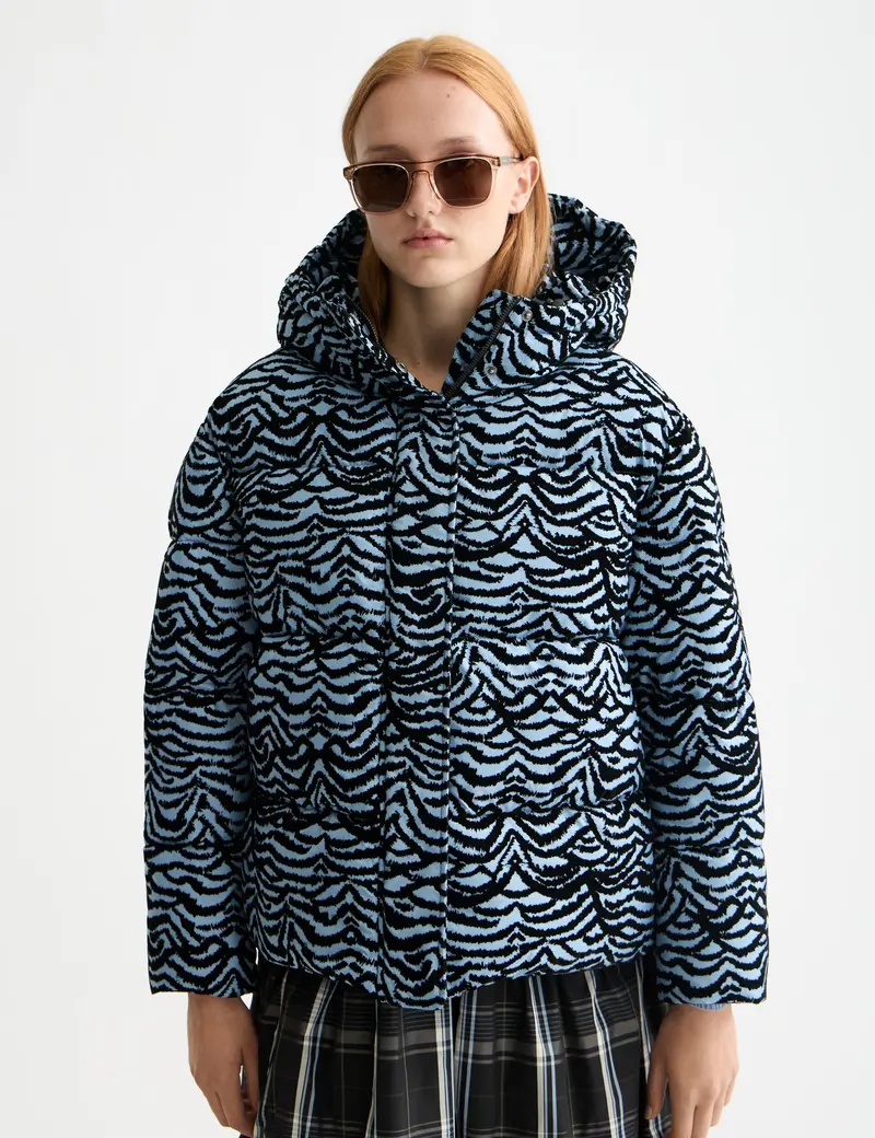Hooded puffer