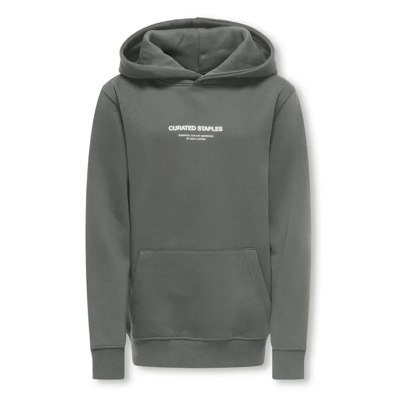 Hoodie Curated Reg