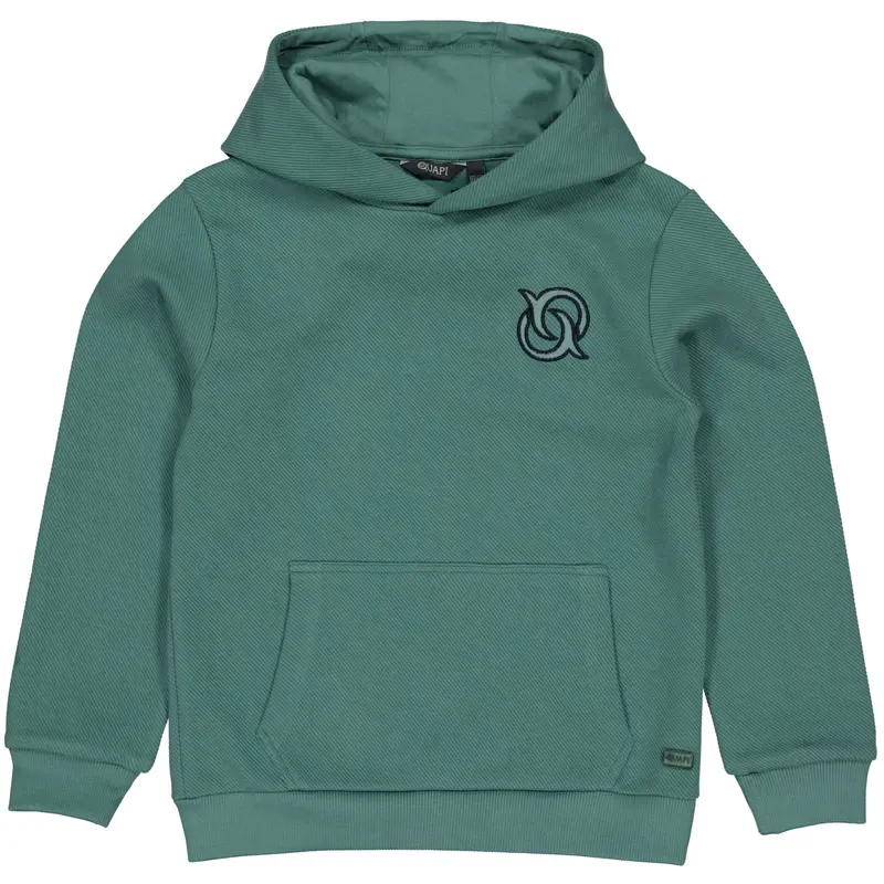 Hoodie Hayden