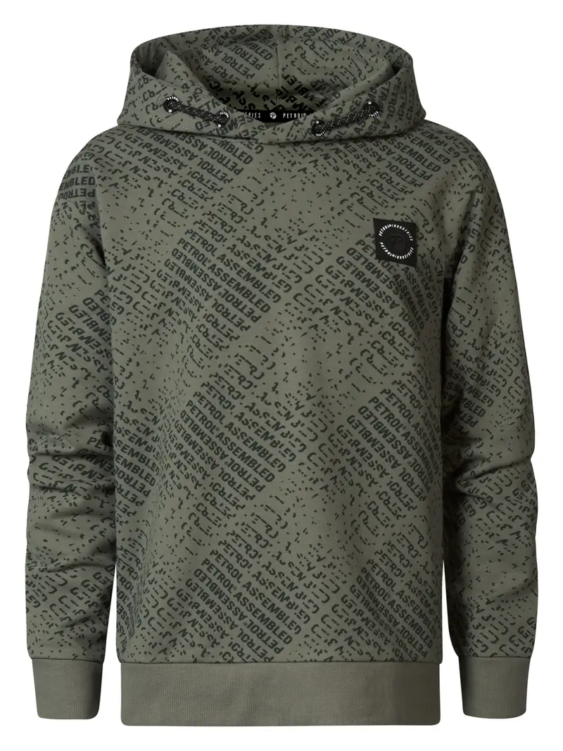 Hoodie SWH397