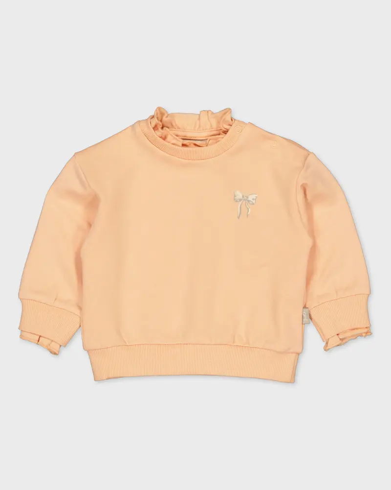 Licht perzikkleurige sweater | Salmon