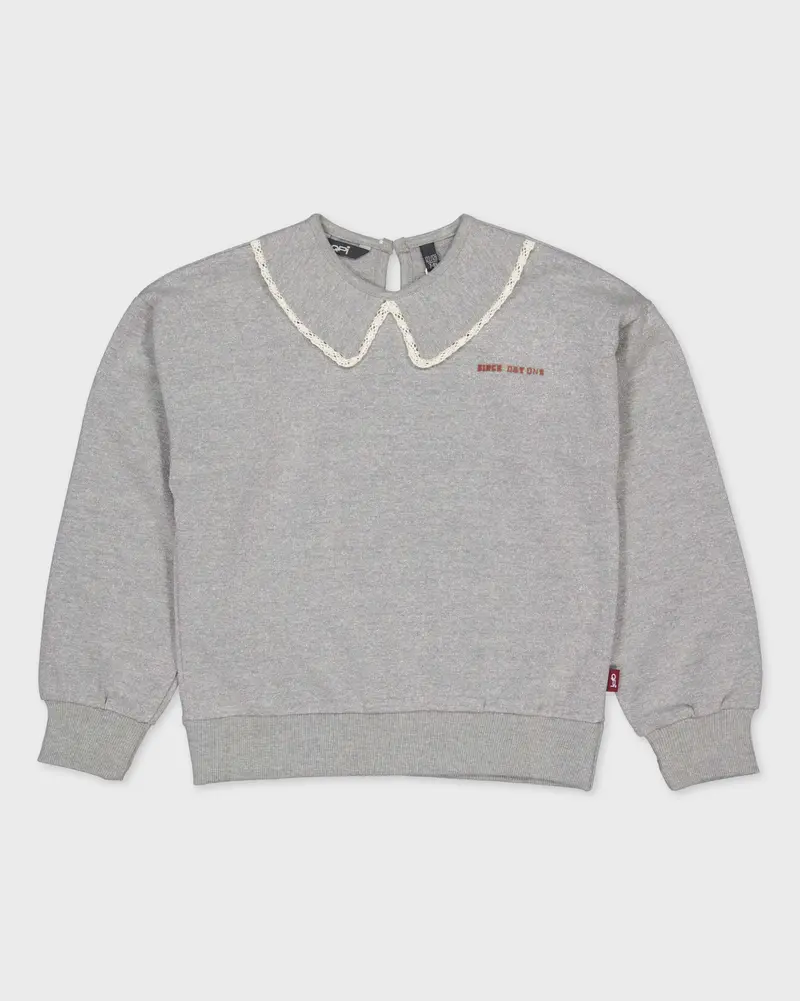 Lichtgrijze sweater met kraag | Silver