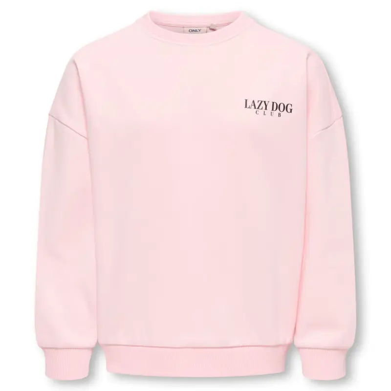 Lichtroze Lazy Dog geprinte o-neck sweater Bila