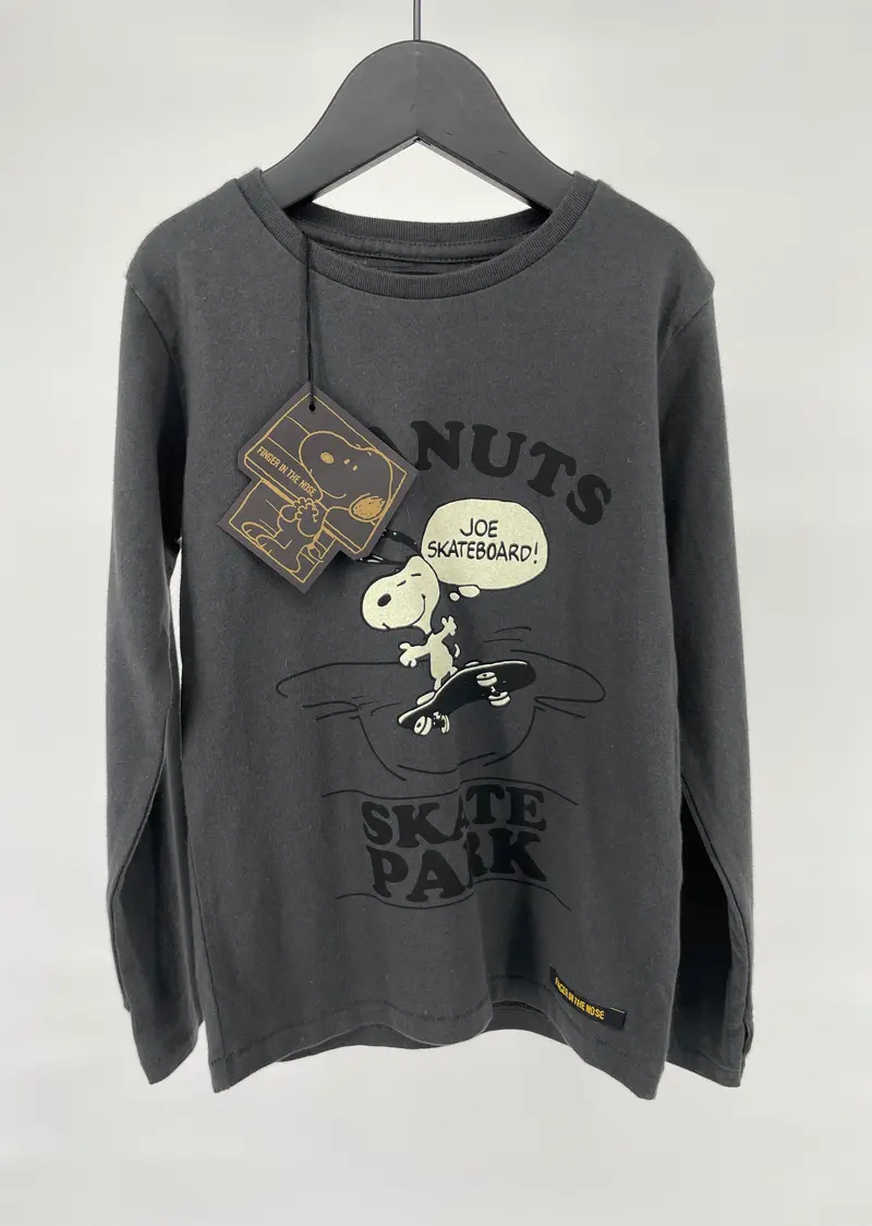 Longsleeve Grijs Snoopy Skate Park Maat 110