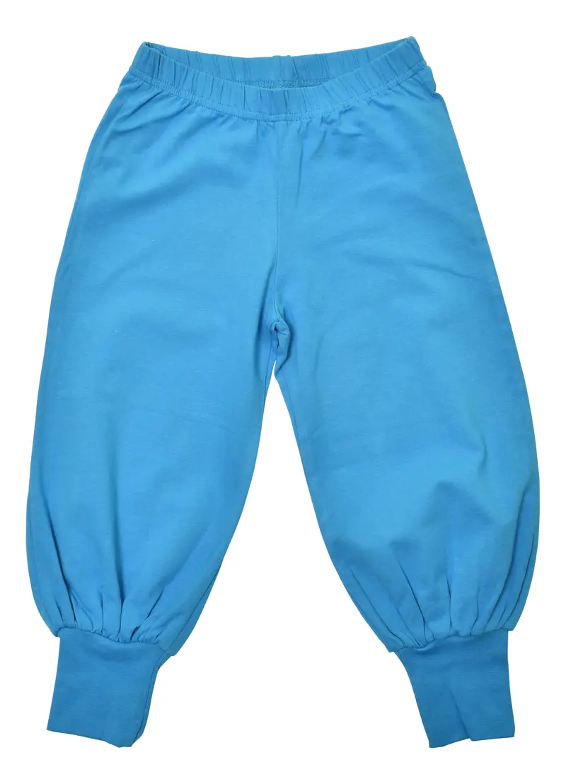 More Than A Fling Baggy Pants Dresden Blue