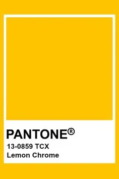 More Than A Fling Longsleeve Lemon Chrome