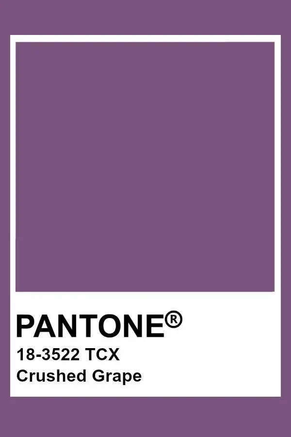More Than A Fling Shorts Crushed Grape Purple