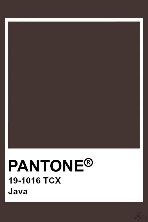 More Than A Fling T-Shirt Java Dark Brown Donker Bruin