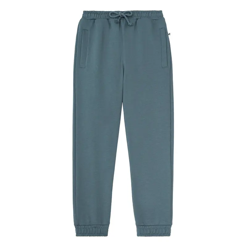 Pants Jogging Stormy