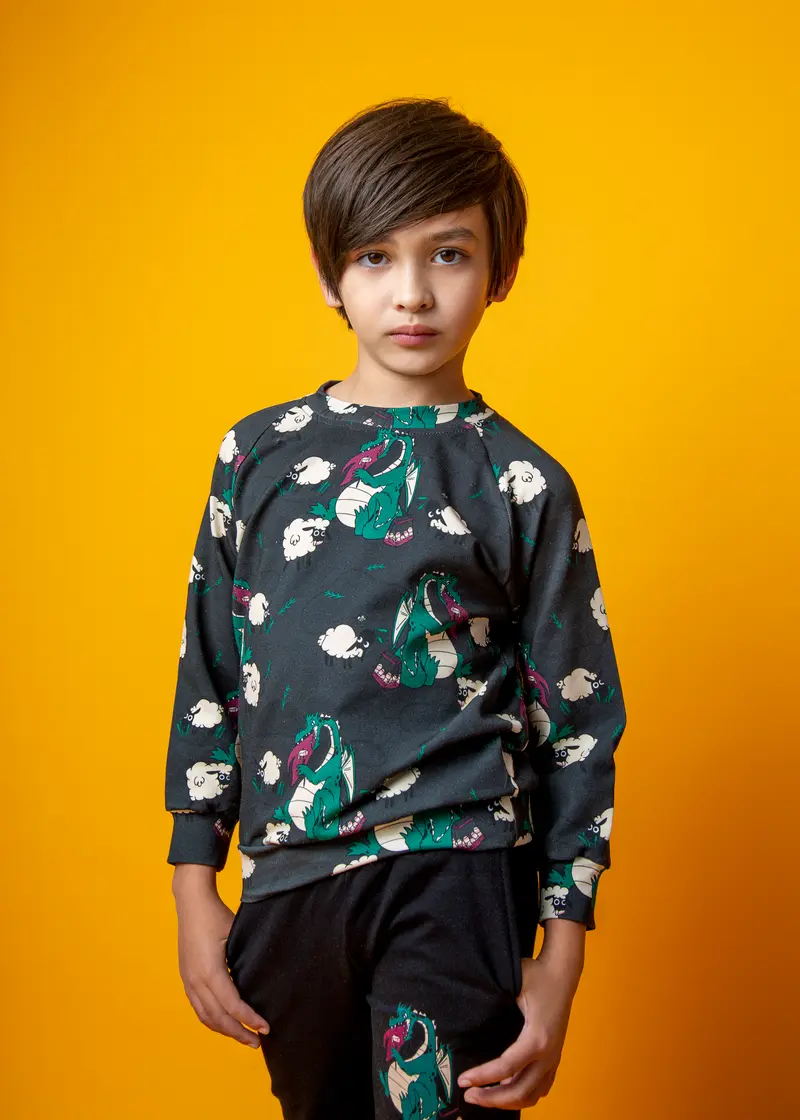 Raspberry Republic - Sweatshirt Veggie Dragon