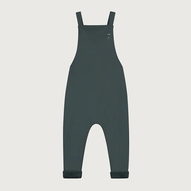 Salopette Blue Grey