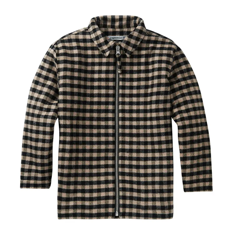Shirt Flannel Check