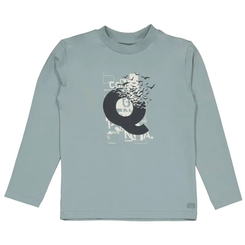 Shirt Haig