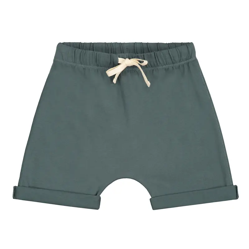 Shorts Blue Grey