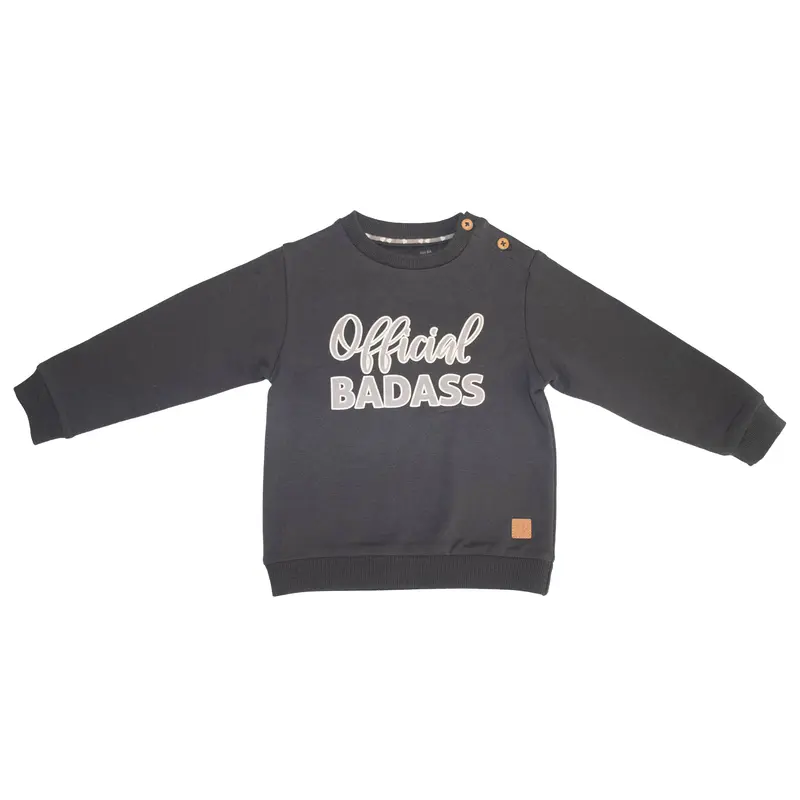 Sweater Little Chiq SW009