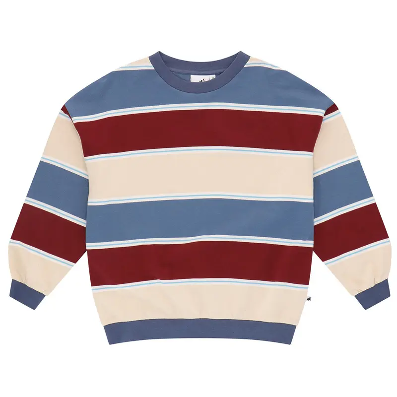 Sweater Striped Multicolour