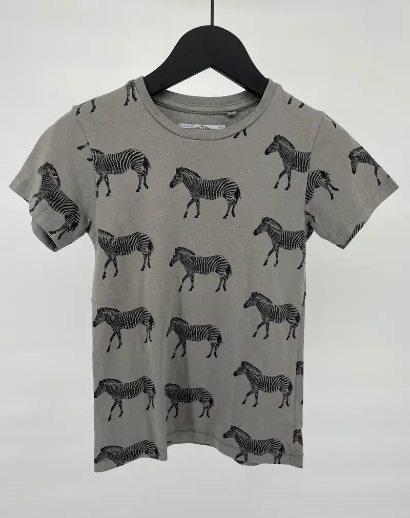T-shirt Grijs Zebra's Maat 110