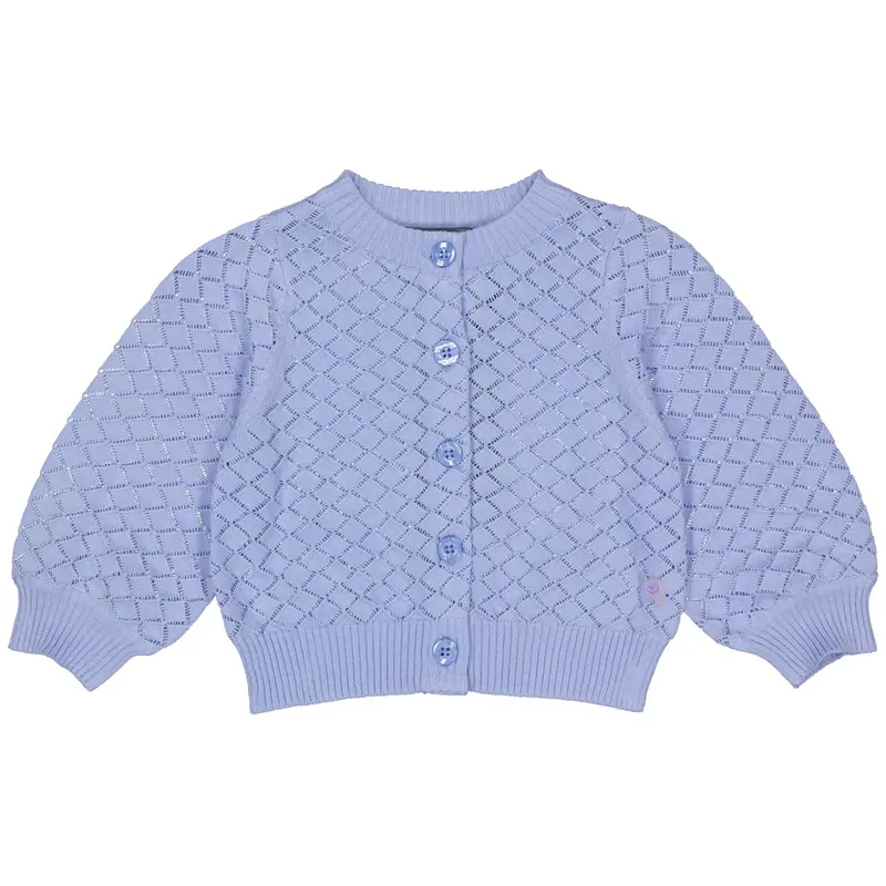 Trui Blauw | Blue