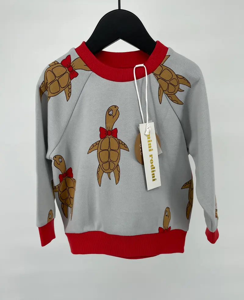 Trui Grijs Schildpadden Maat 80 / 86