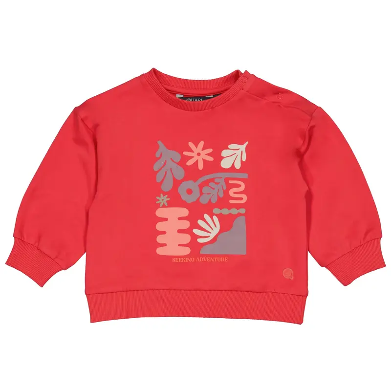 Trui Rood | Pink Red