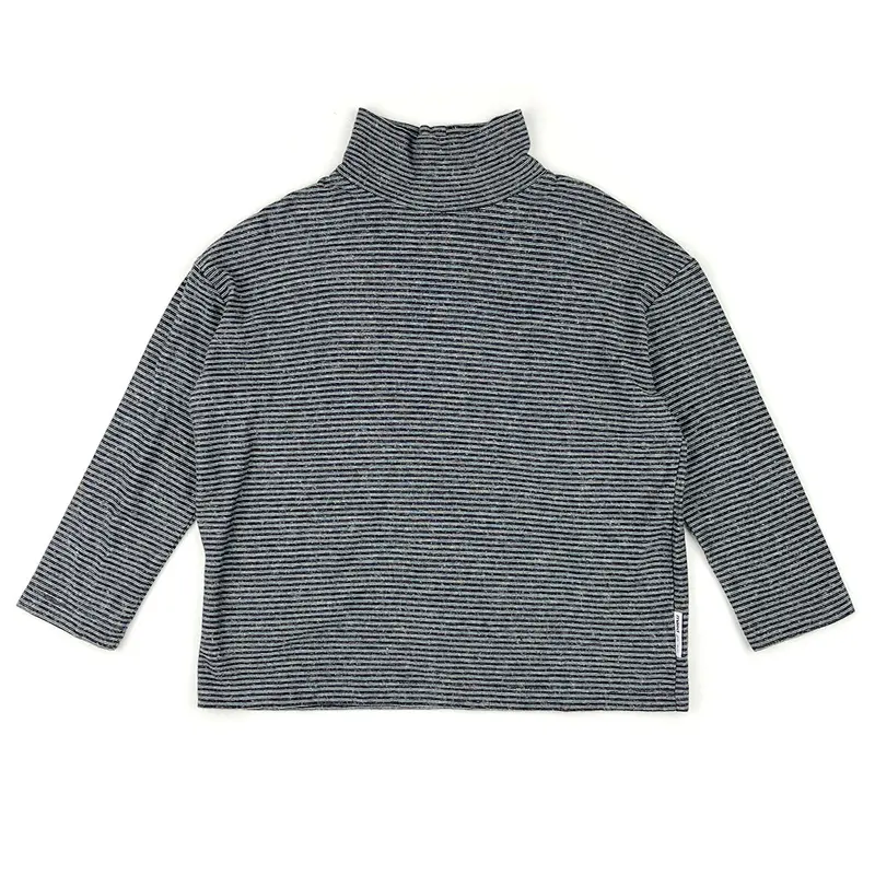 Turtleneck Striped