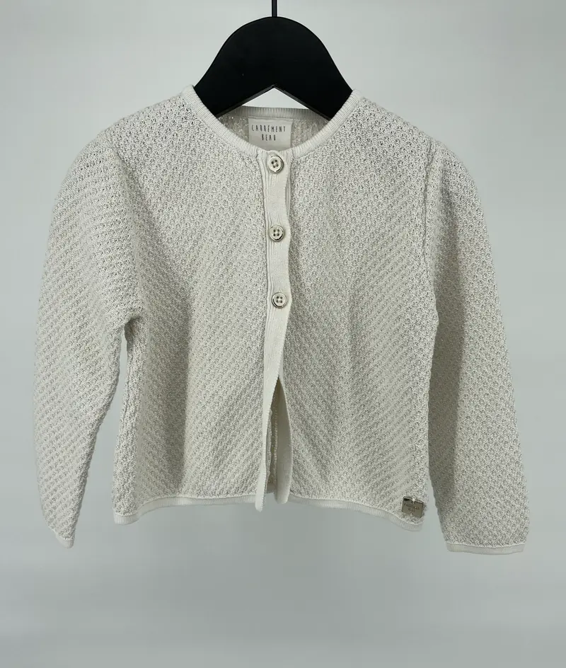 Vest Beige met Gouden Accenten Maat 80