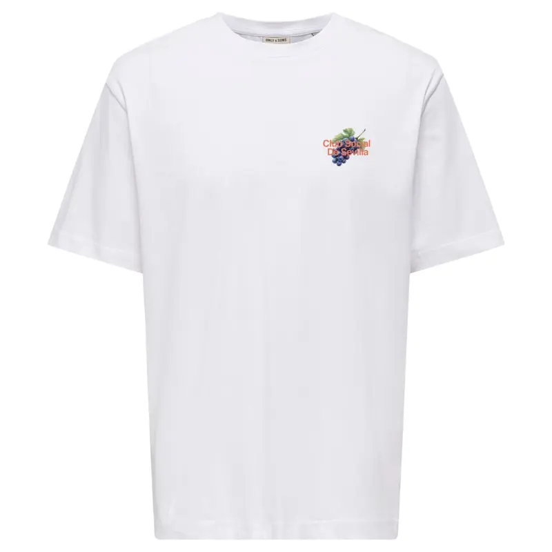 Wit relaxed fit t-shirt Axel Dorado